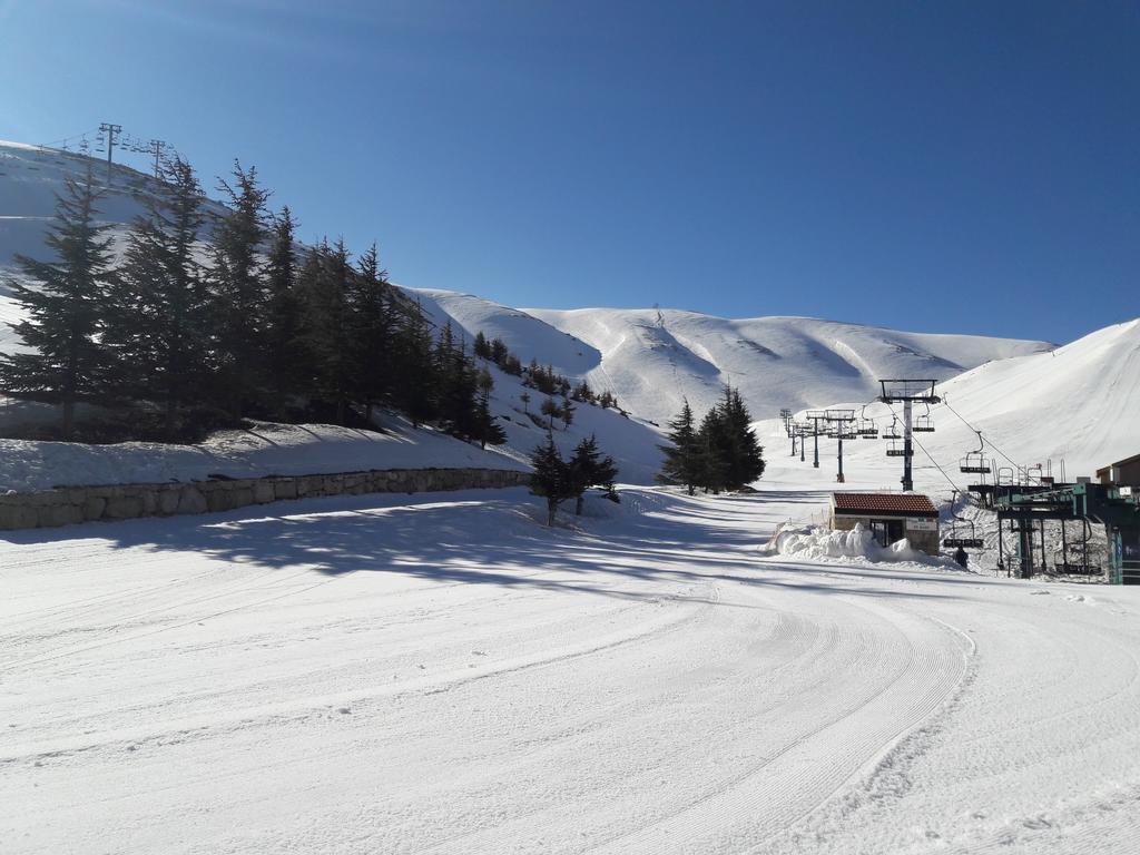 L'Escale Du Mzaar Apartment Faraya Bagian luar foto
